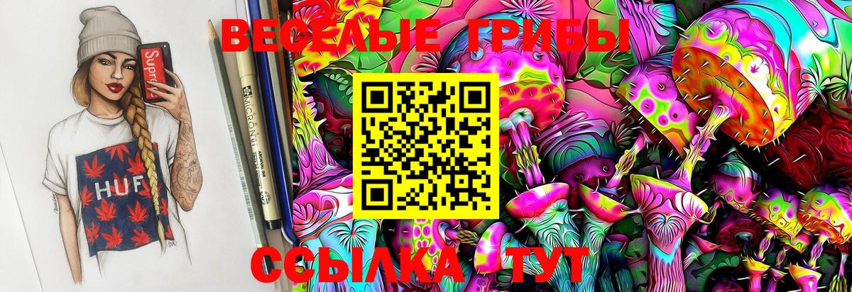 Омск  Галлюциногенные грибы Psilocybe  Вход с VPN 