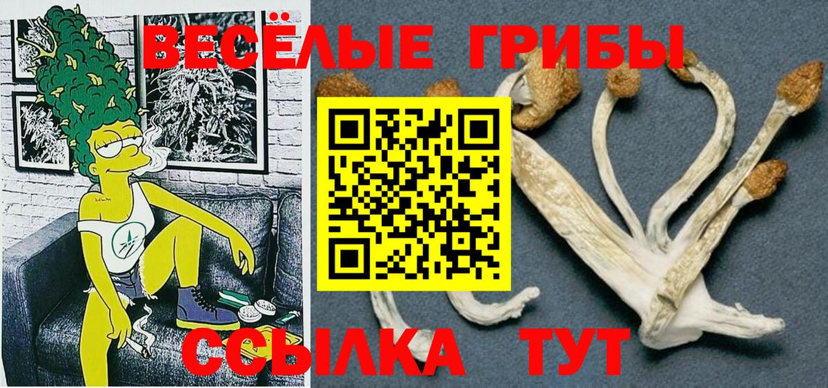 Псилоцибиновые грибы Cubensis Омск